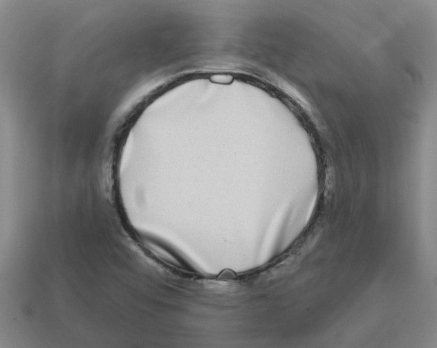 X0000112801456200910021110