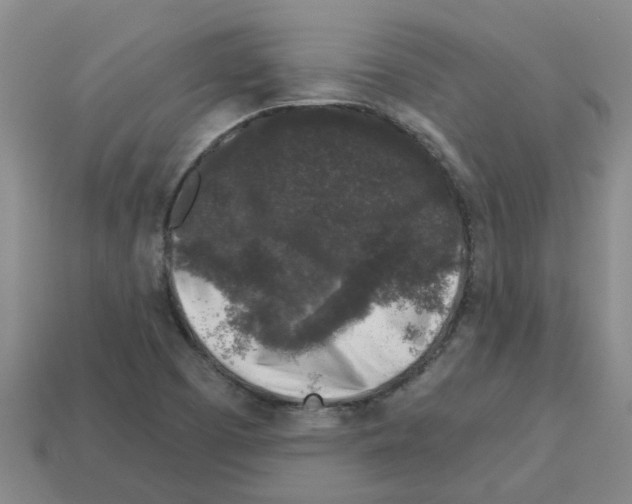 X0000112801457200910021110