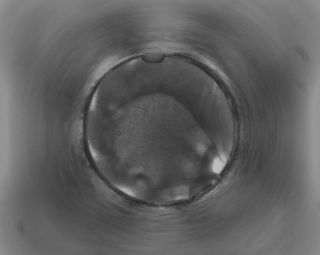 X0000112801459200910021110