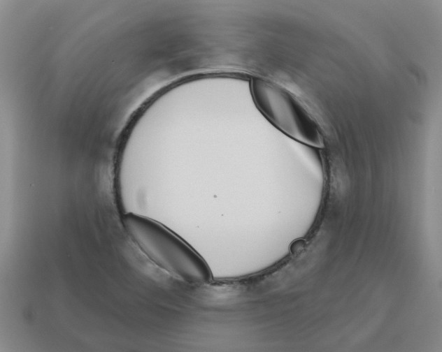 X0000112801460200910021110