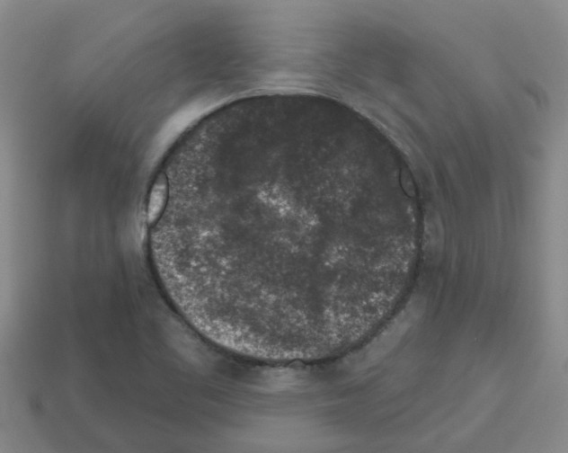 X0000112801461200910021110