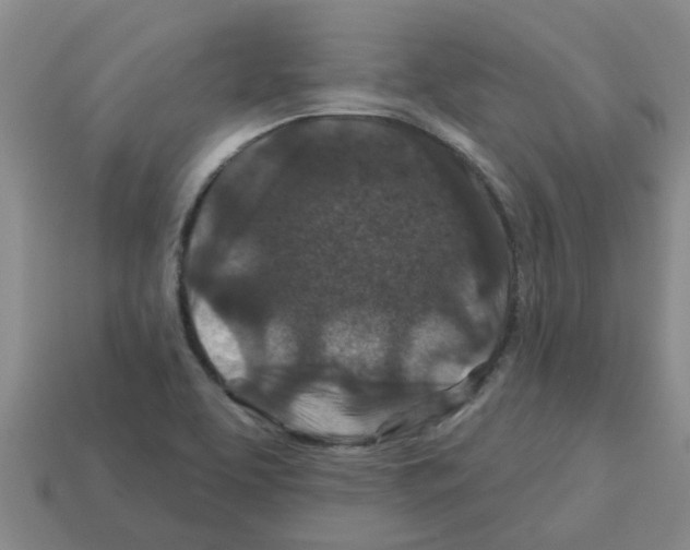 X0000112801463200910021110