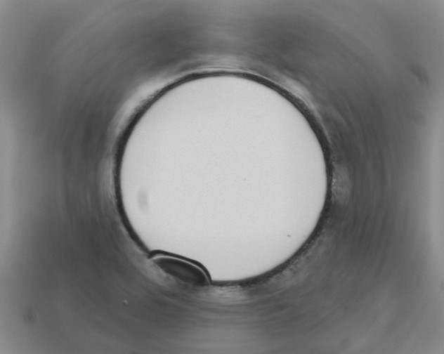 X0000112801464200910021110