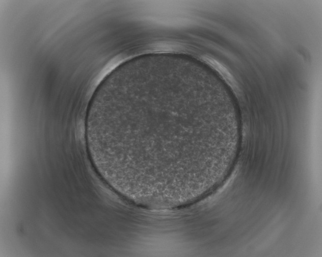 X0000112801465200910021110