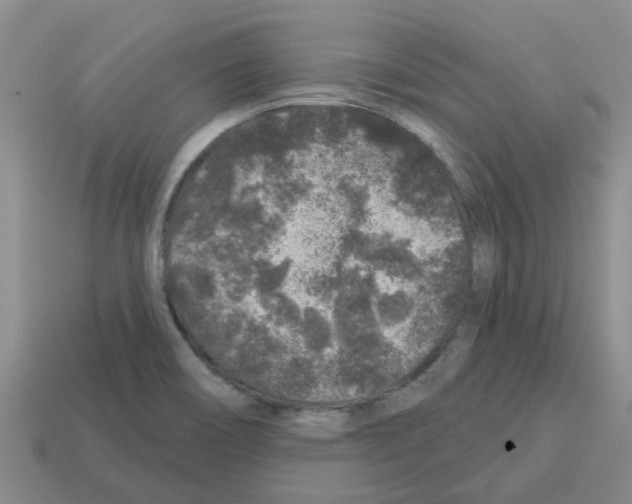 X0000112801466200910021110
