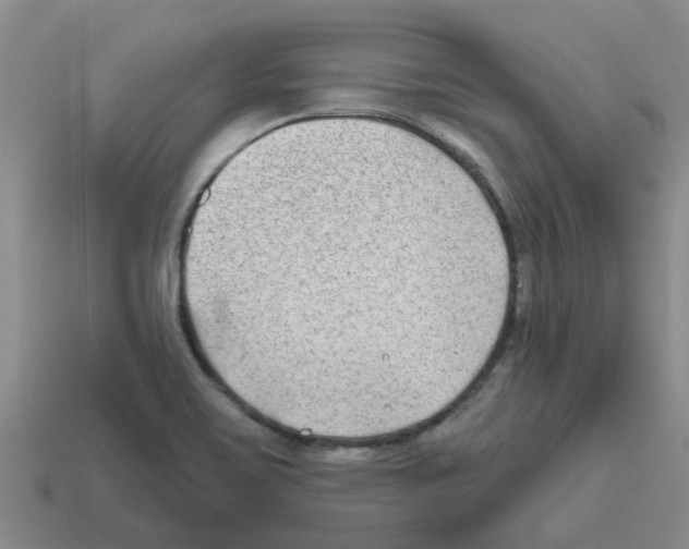 X0000112801467200910021110