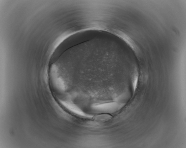 X0000112801468200910021110