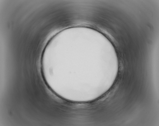 X0000112801471200910021110