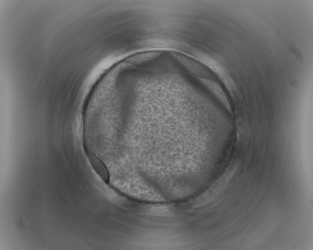 X0000112801472200910021110