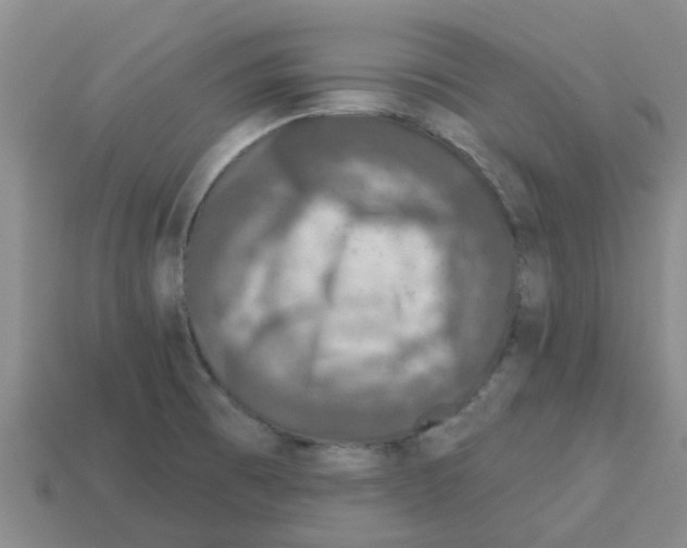X0000112801473200910021110