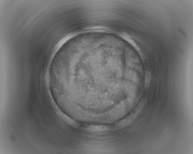 X0000112801474200910021110