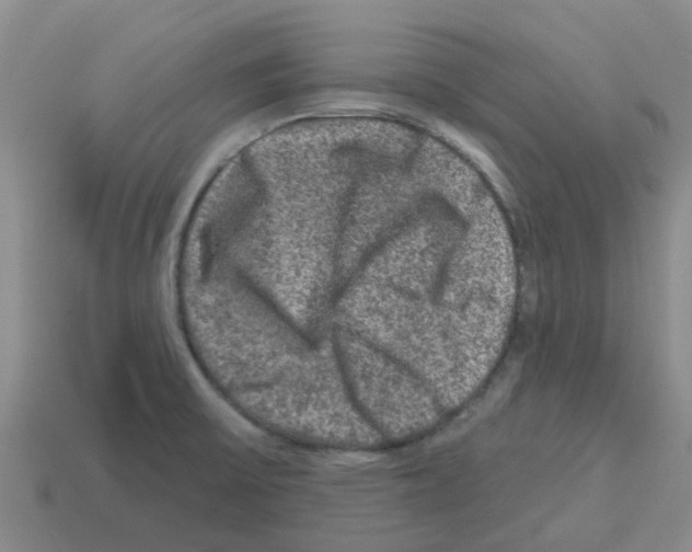 X0000112801475200910021110