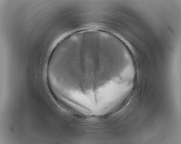 X0000112801477200910021110