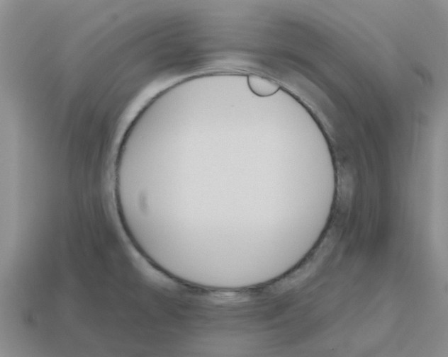 X0000112801478200910021110