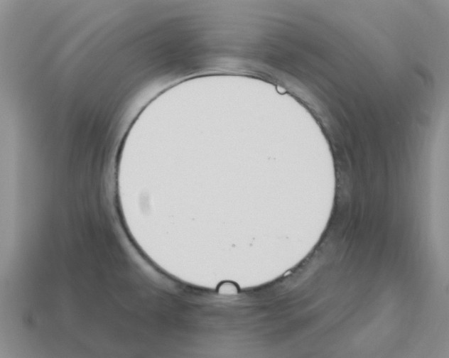 X0000112801479200910021110