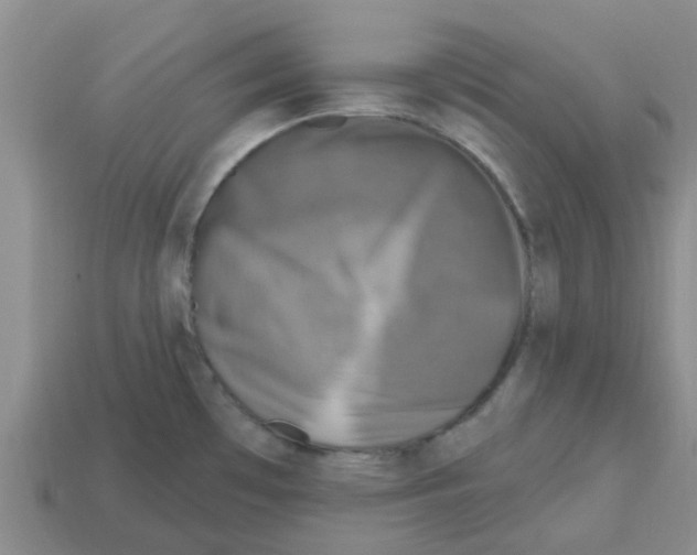 X0000112801481200910021110
