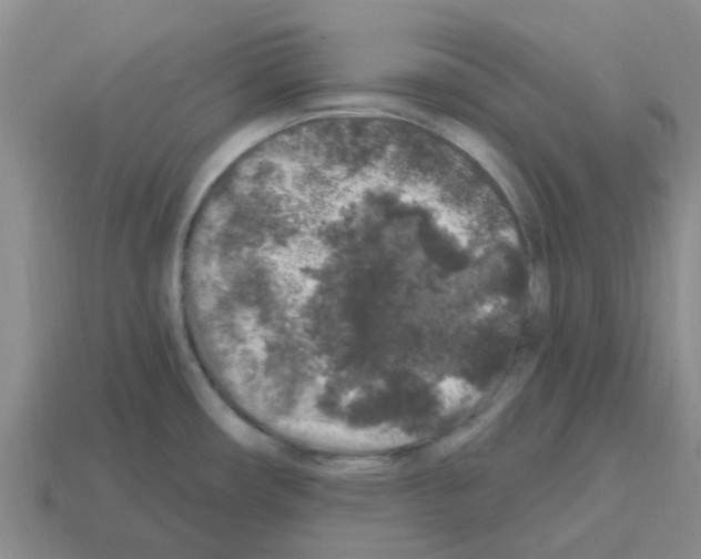 X0000112801482200910021110
