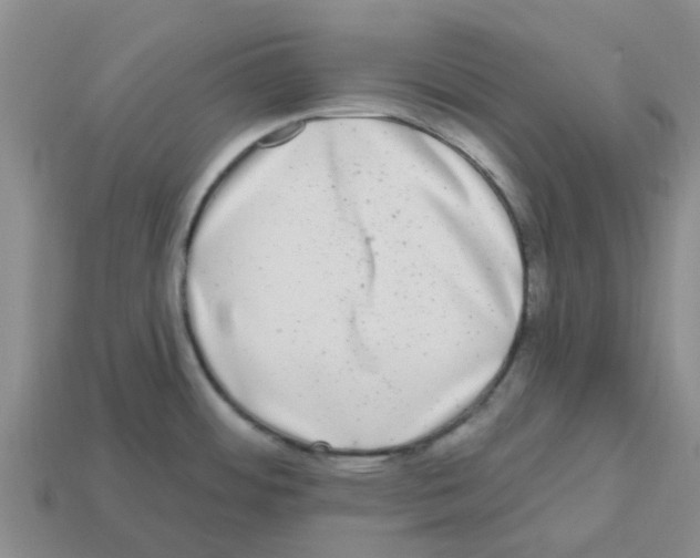 X0000112801484200910021110