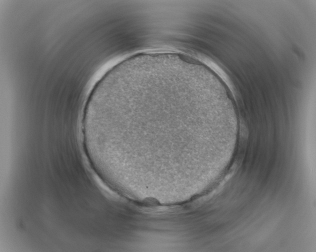 X0000112801485200910021110