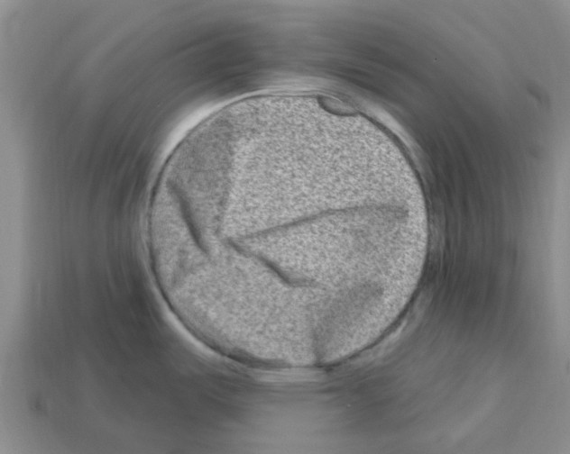 X0000112801487200910021110