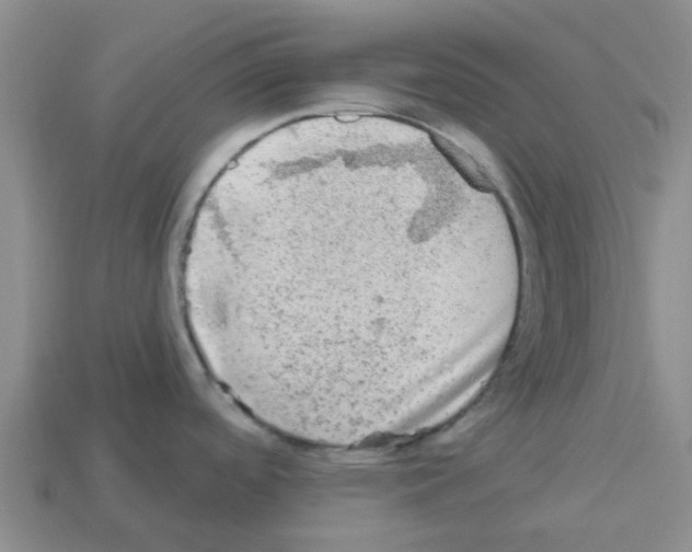 X0000112801488200910021110