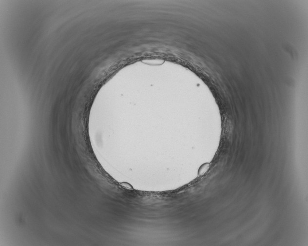 X0000112801489200910021109