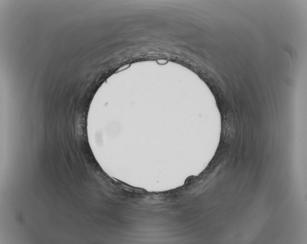 X0000112801490200910021109