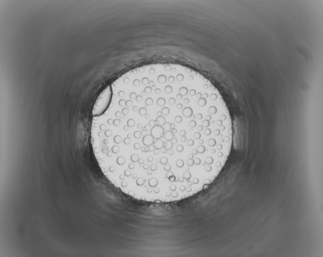 X0000112801491200910021109