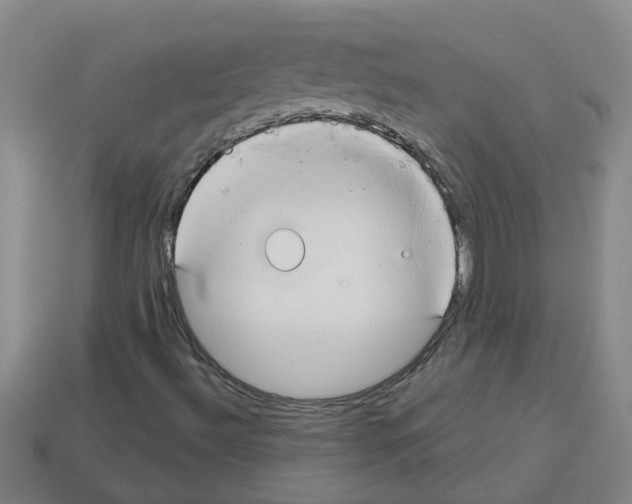 X0000112801492200910021109