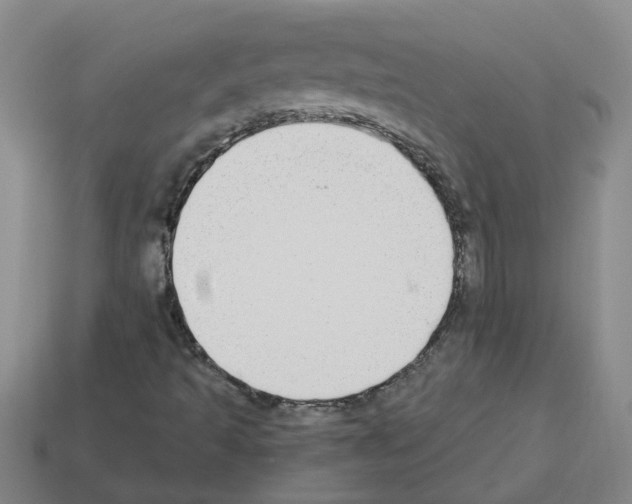 X0000112801493200910021109