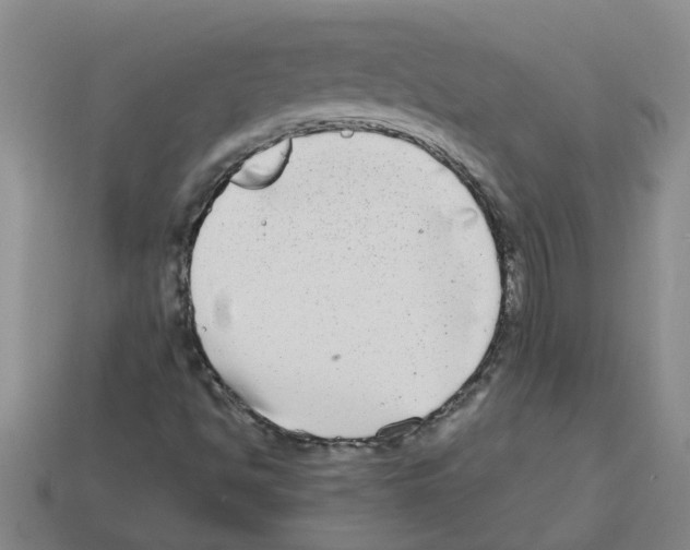 X0000112801494200910021109