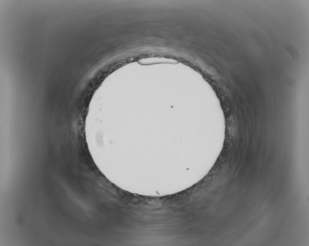 X0000112801495200910021109