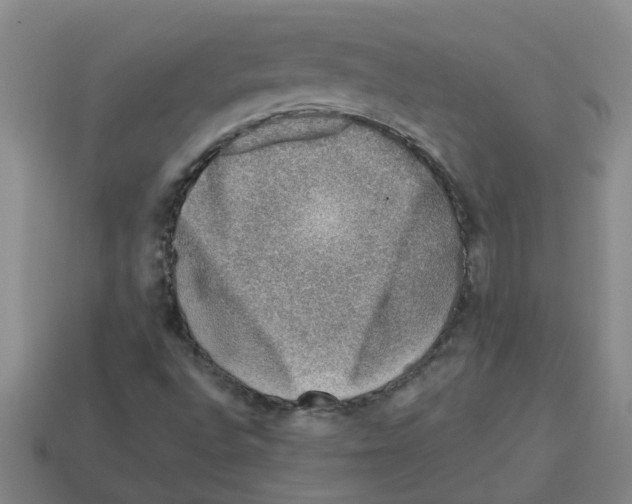 X0000112801496200910021109