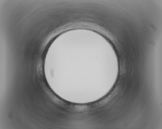 X0000112801498200910021109