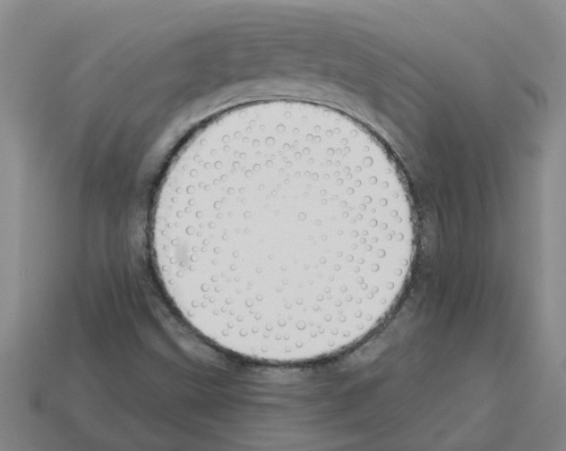 X0000112801499200910021109