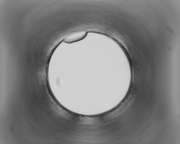 X0000112801500200910021109