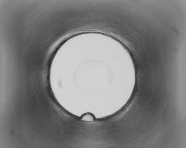 X0000112801502200910021109