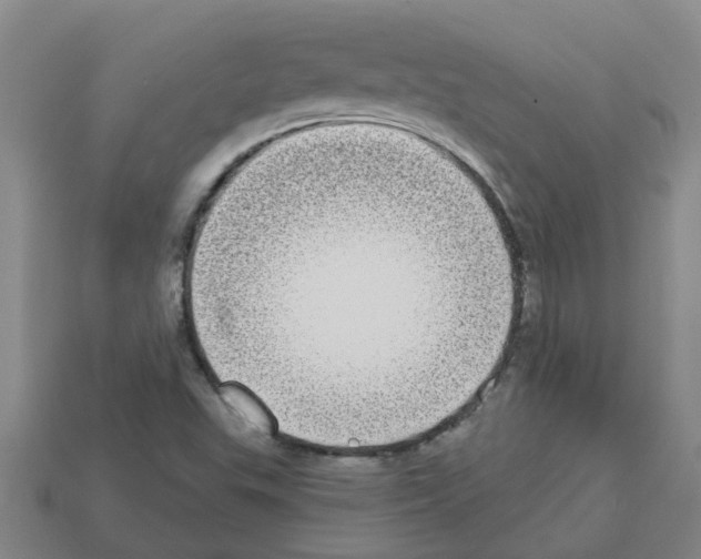 X0000112801503200910021109