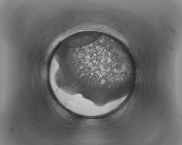 X0000112801506200910021109