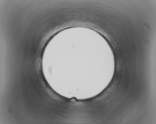 X0000112801507200910021109