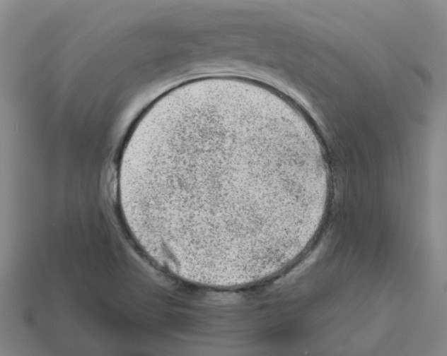 X0000112801509200910021109