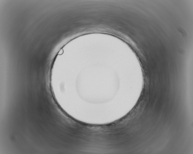 X0000112801512200910021110