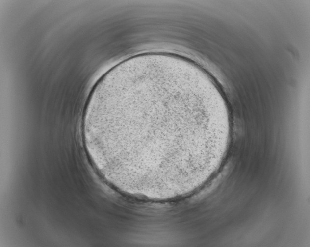 X0000112801513200910021110