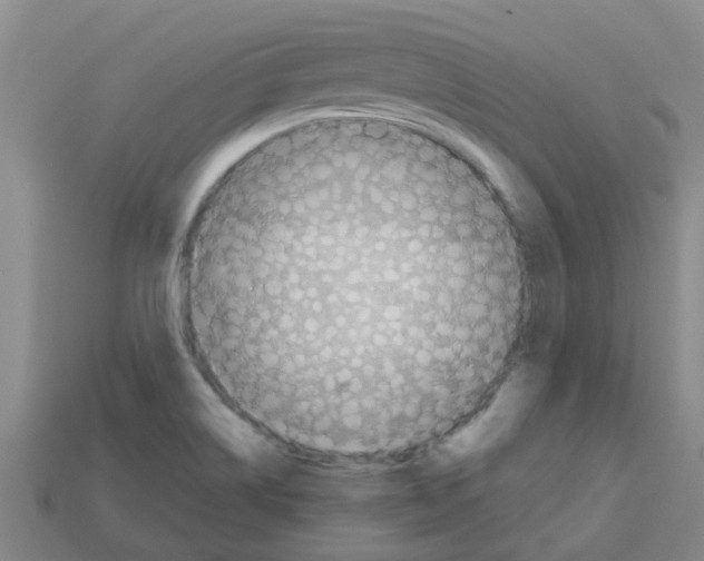 X0000112801514200910021110