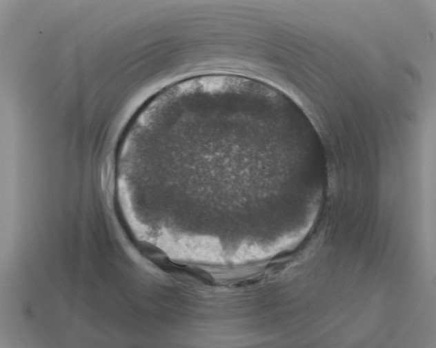 X0000112801515200910021110