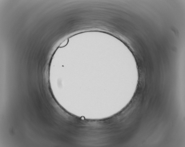 X0000112801516200910021110