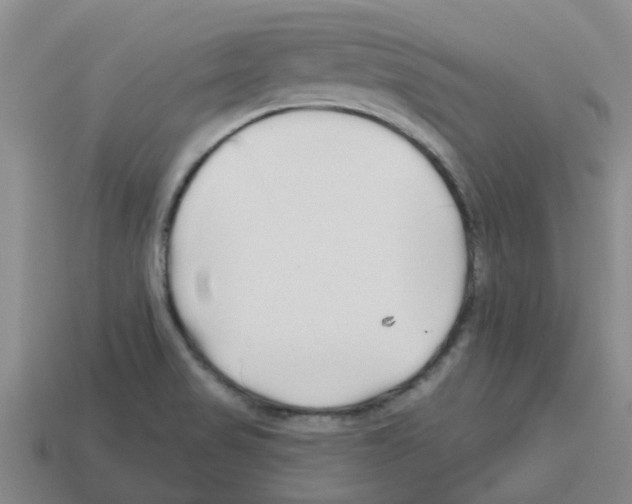X0000112801517200910021110