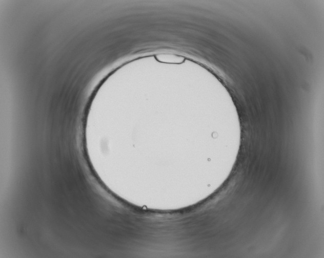 X0000112801518200910021110
