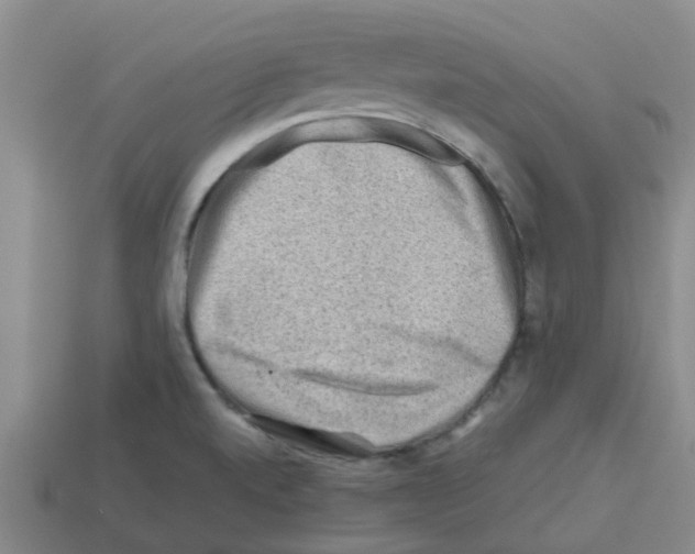 X0000112801520200910021110