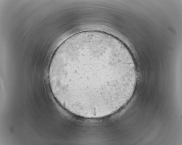 X0000112801521200910021110
